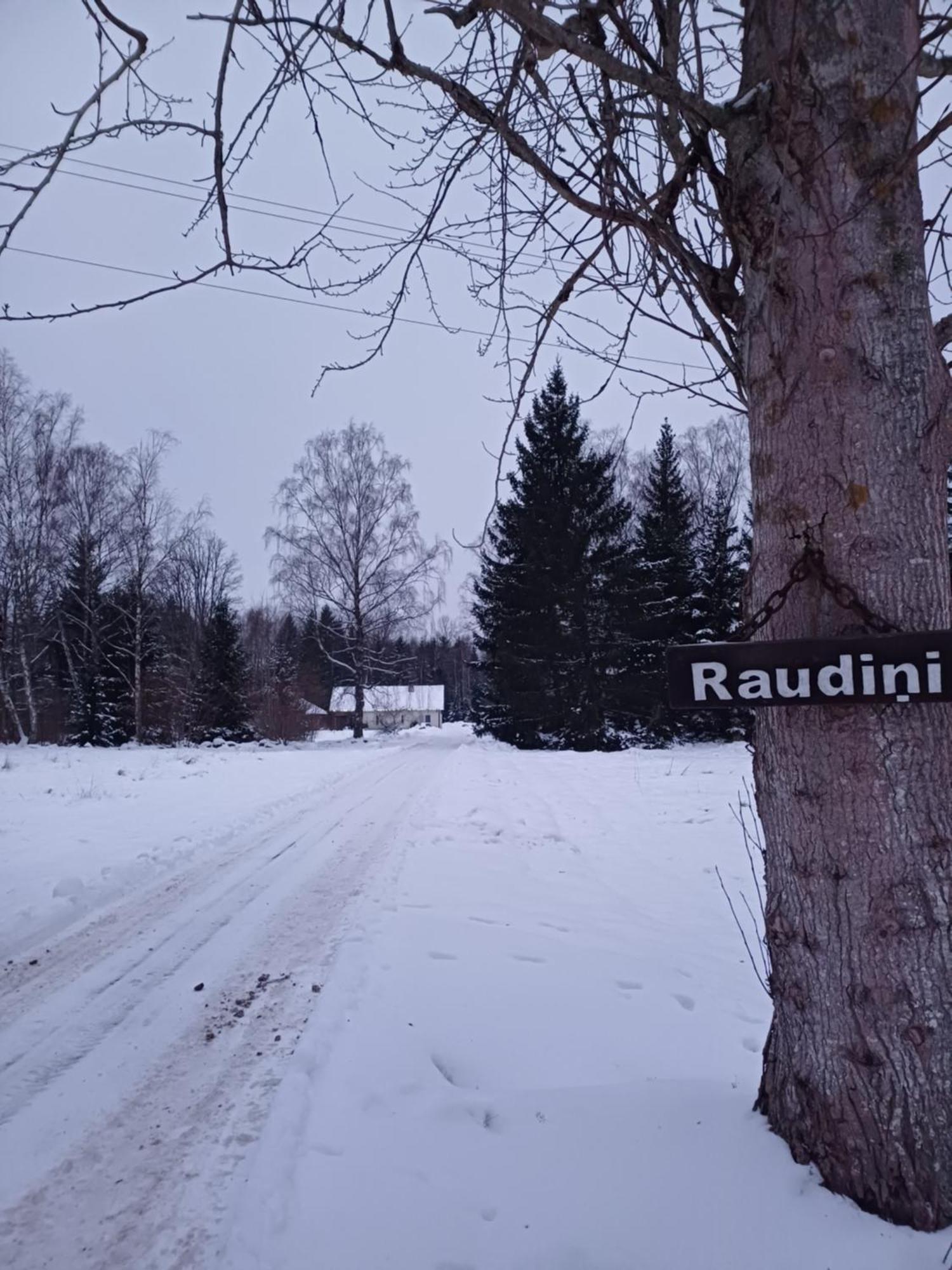 Brivdienu Maja "Raudini" Kaltene Екстериор снимка
